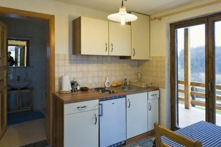 Apartments Mali Raj Dolenci エクステリア 写真